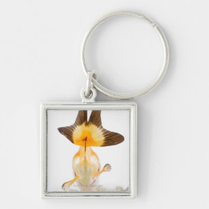 Goldfish (Carassius auratus) 2 Keychain
