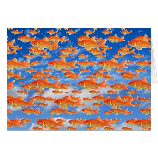 Goldfish Heaven Cards (Front Horizontal)