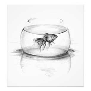 Goldfish in bowl and water Pencil drawing art Photo Print