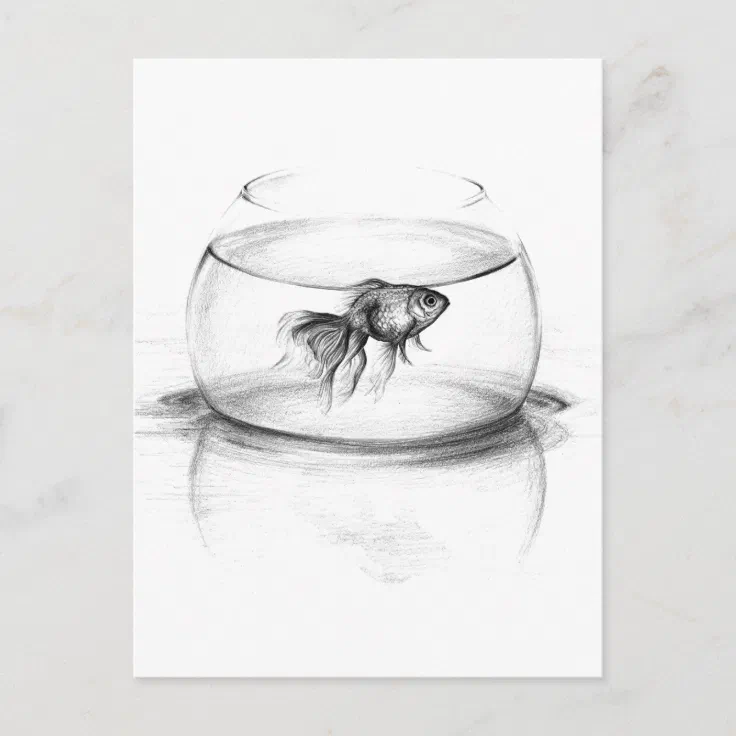 water drawing pencil