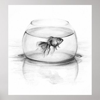 Goldfish in bowl and water Pencil drawing art Poster | Zazzle