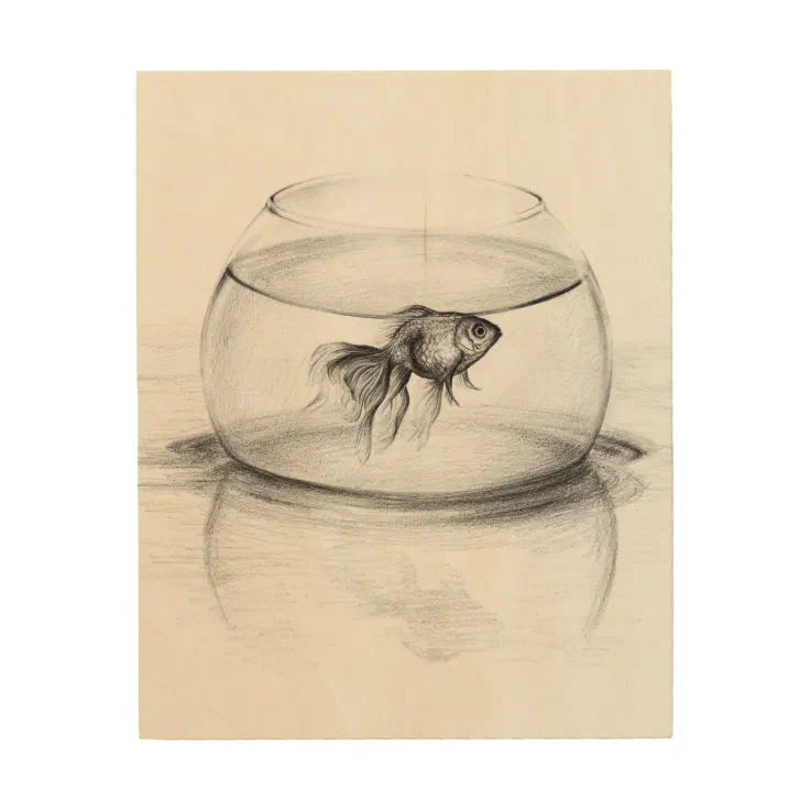 goldfish in a bowl drawing