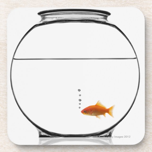 Goldfish in bowl beverage coaster (Front)