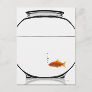 Goldfish in bowl postcard