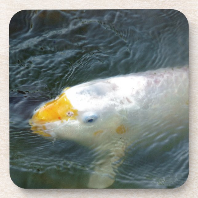 Goldfish In Lake Drink Coaster (Front)