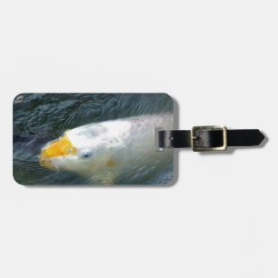 Goldfish In Lake Luggage Tag