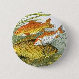 Goldfish Koi Fish, Vintage Marine Aquatic Sea Life Pinback Button