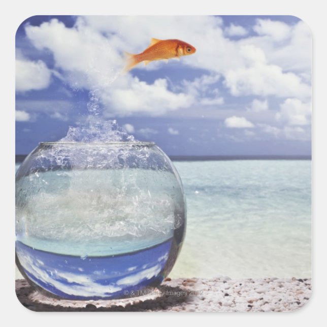 Goldfish Leap Square Sticker (Front)