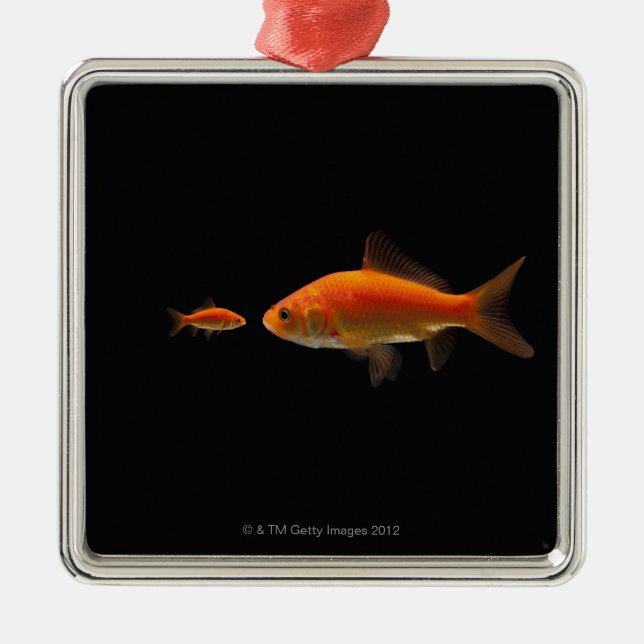 Goldfish Metal Ornament (Front)
