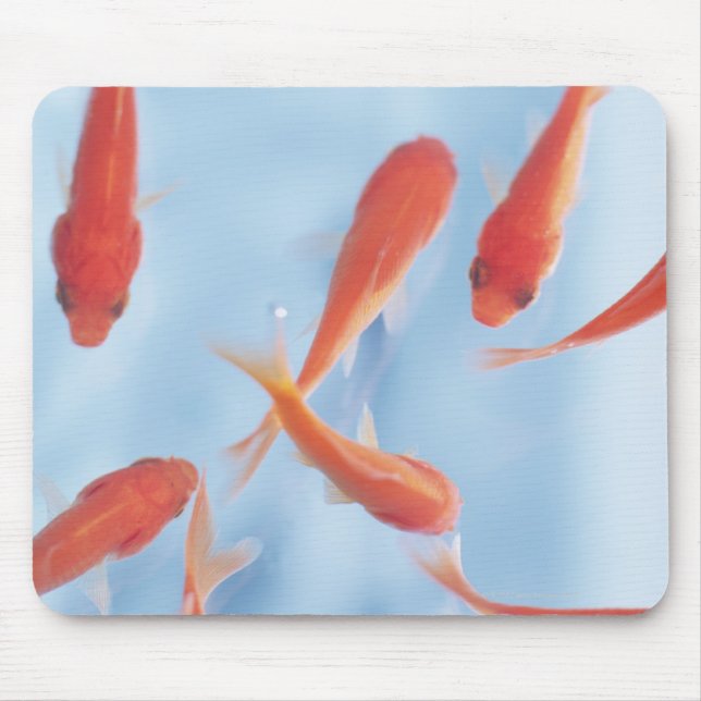 Goldfish Mouse Pad (Front)