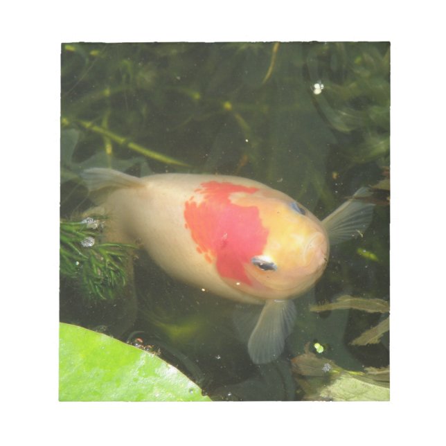 Goldfish Notepad (Front)