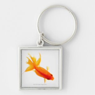 Goldfish, overhead view keychain