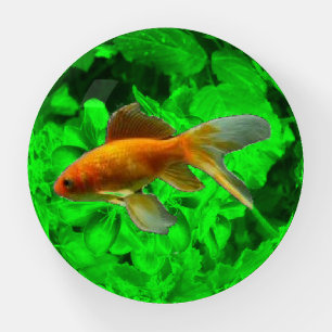 Goldfish Paperweight