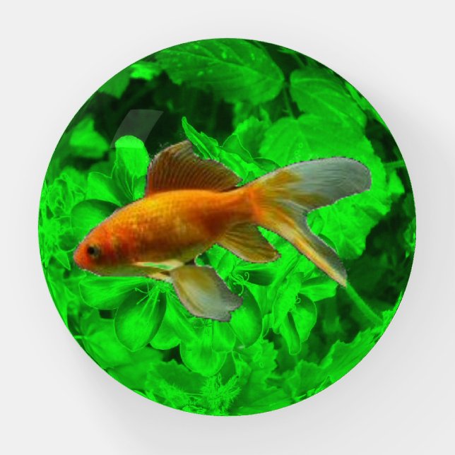 Goldfish Paperweight (Front)