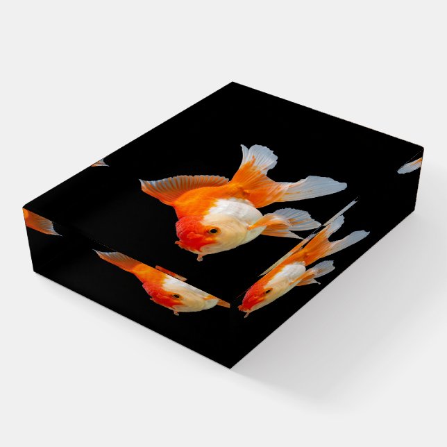 Goldfish Paperweight (Angled)