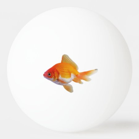 Goldfish Pingpong Ball