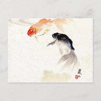 Goldfish Postcard