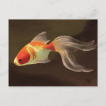 Goldfish Postcard at Zazzle