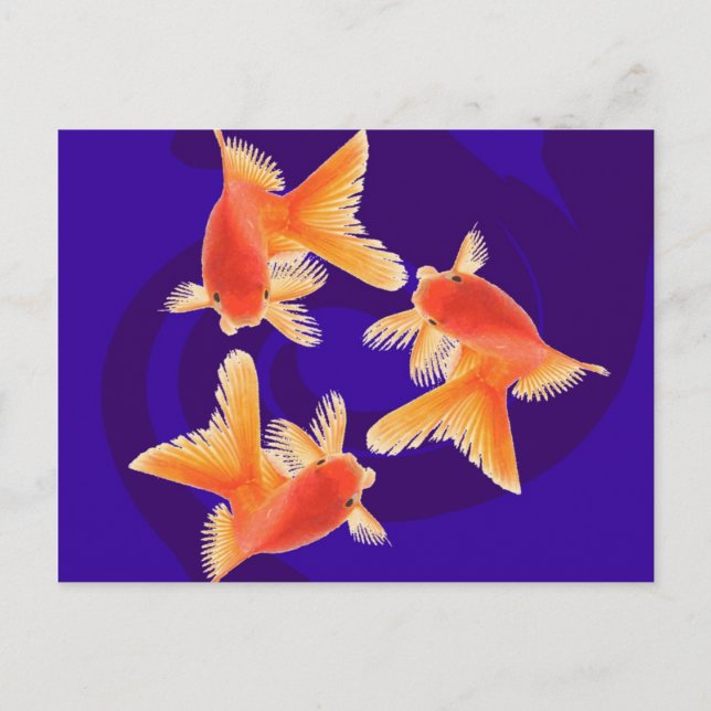 Goldfish Postcard (Front)
