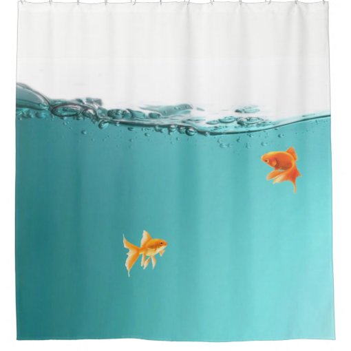 Goldfish Shower Curtain Zazzle