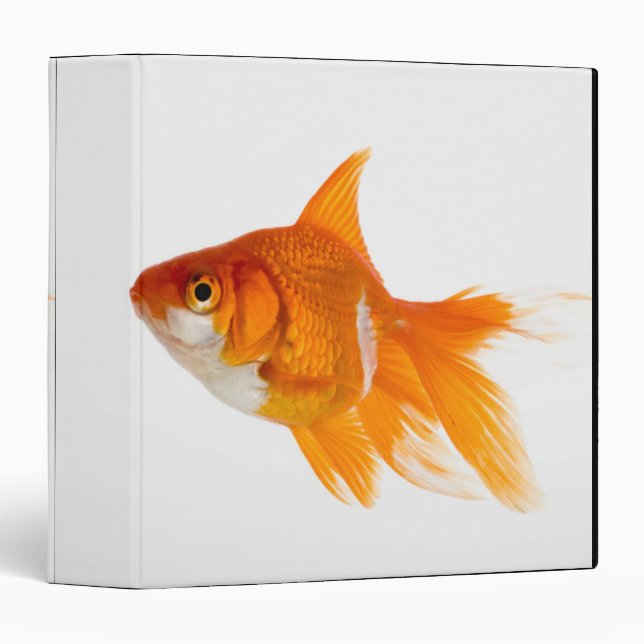 Goldfish, side view binder (Front/Spine)