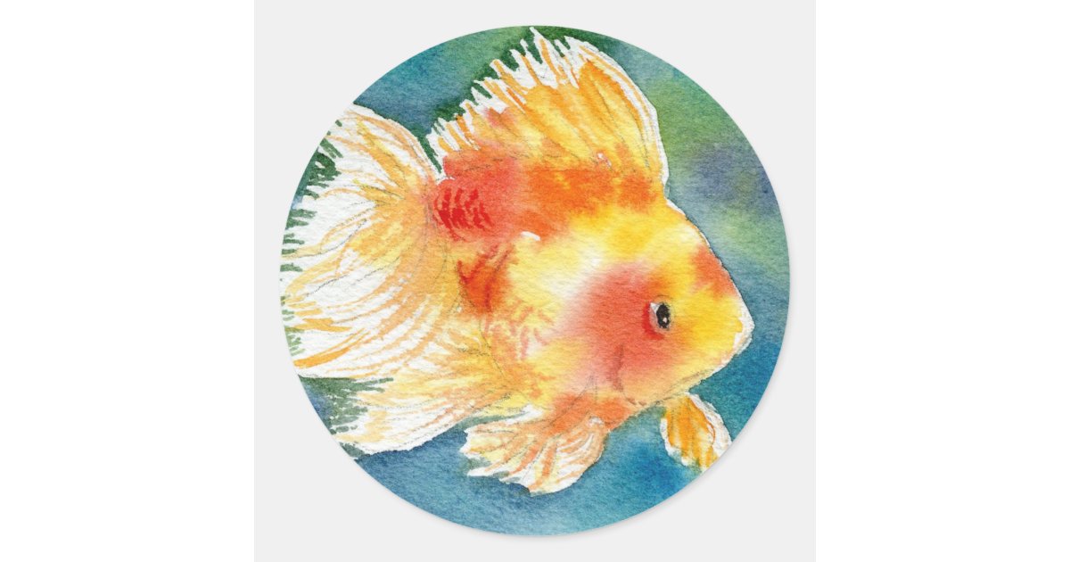 Fat Goldfish Sticker