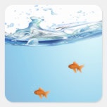 Goldfish under water aquarium square sticker
