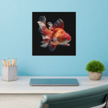 Goldfish