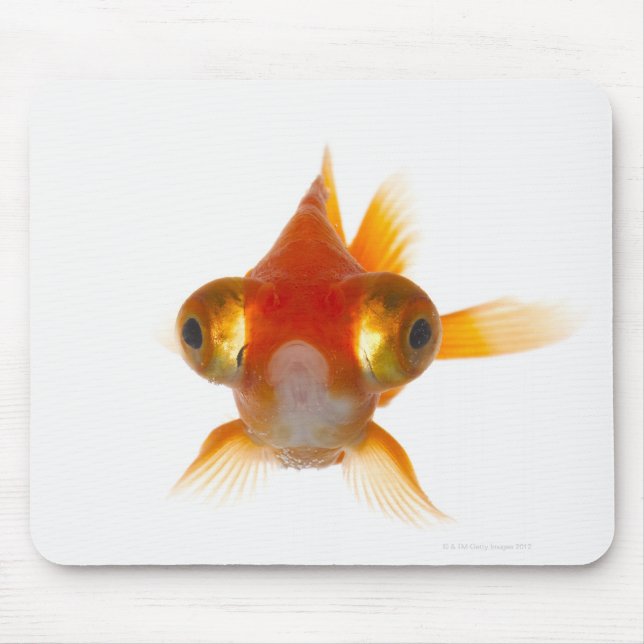 Goldfish with Big eyes 2 Mouse Pad (Front)