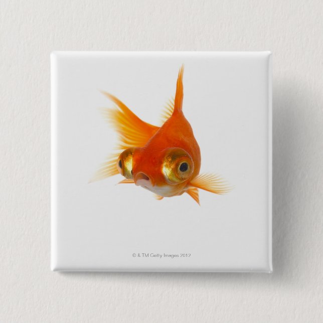 Goldfish with Big eyes Button (Front)