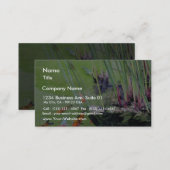 Goldfishes Business Card (Front/Back)