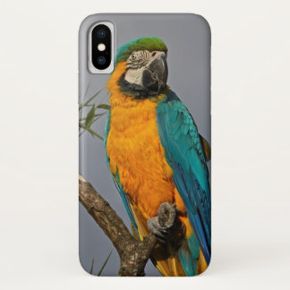 Goldie Blue iPhone X Case