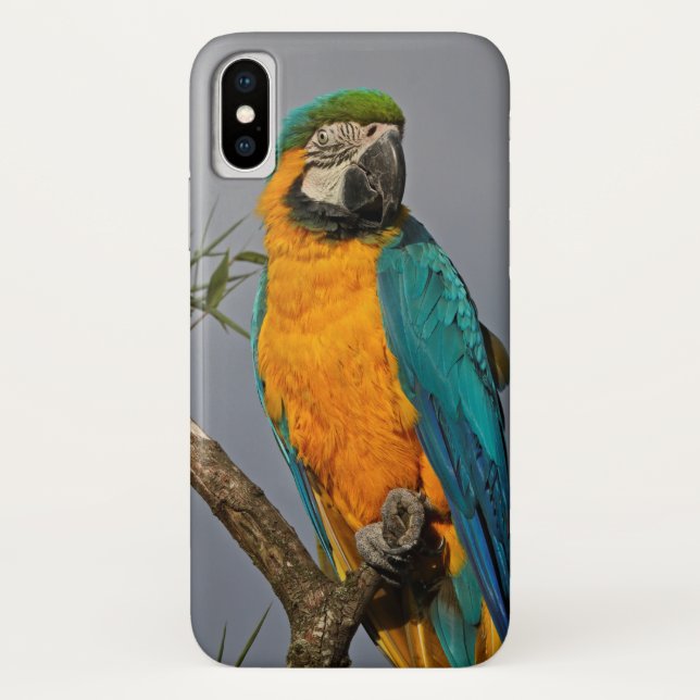 Goldie Blue iPhone X Case (Back)