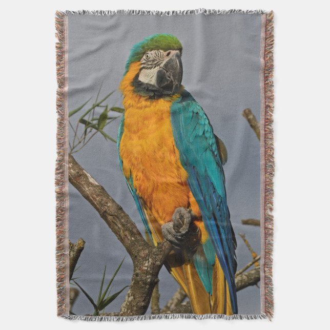 Goldie Blue Throw Blanket (Front Vertical)