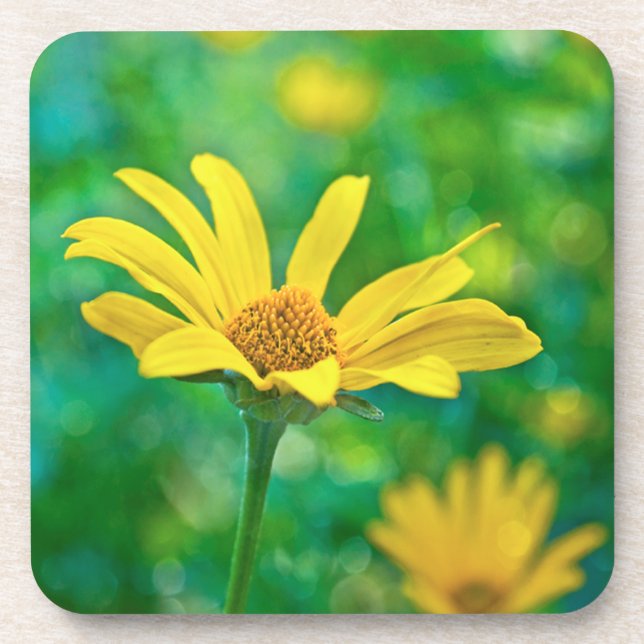 Goldie Coaster (Front)