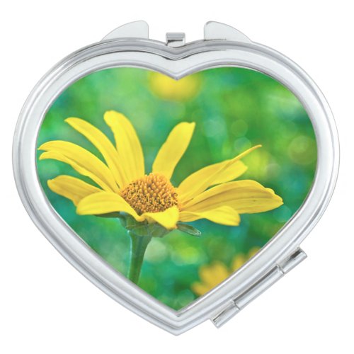 Goldie Compact Mirror