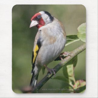 Goldie Mousemat Mouse Pad