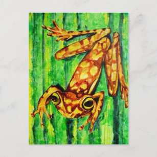 Goldie The Tree Frog Postcards