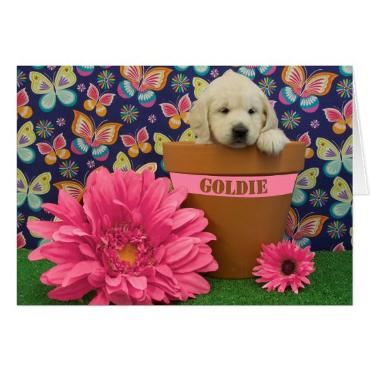Goldie, week 5 photo cards (Front Horizontal)