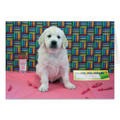 Goldie week 6 (Front Horizontal)