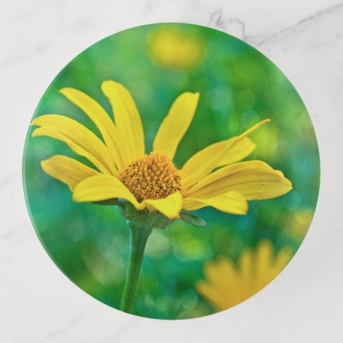 Goldie Wildflower Trinket Tray