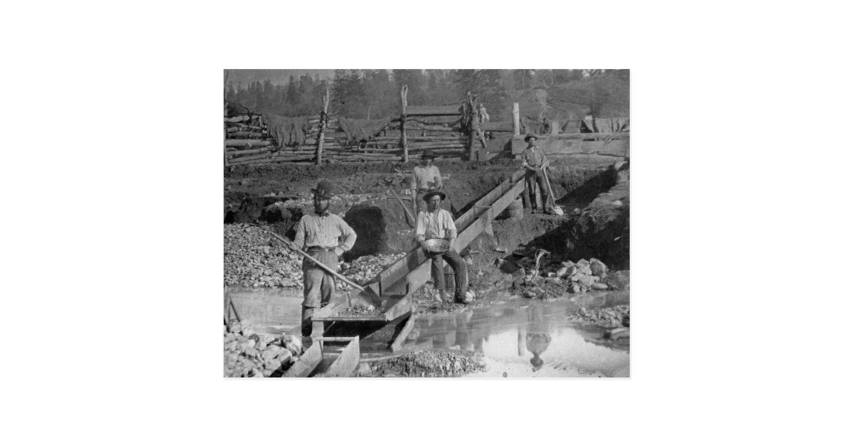 goldminers gold rush miners california 1850 postcard postcard birthday invitations