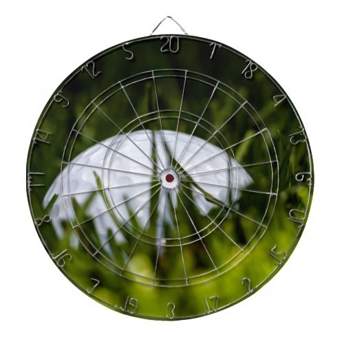 golf ball hiding remix dart board