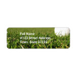 Golf Ball on Course Mailing Labels