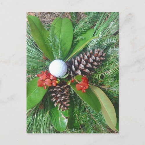 Golf ball pine cones and evergreens Christmas Holiday Postcard