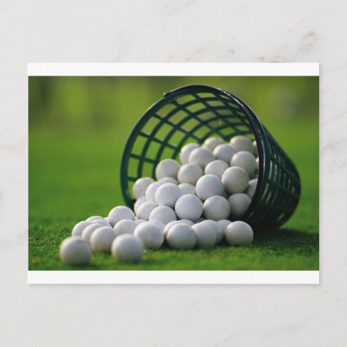 Golf Balls Bucket Postcard