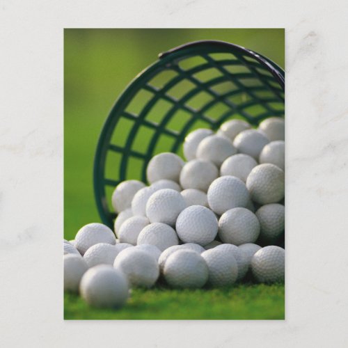 Golf Balls Bucket Postcard