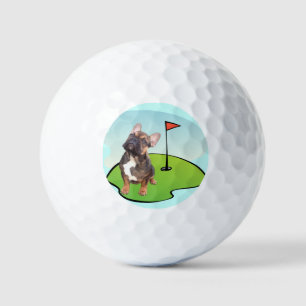 Golf balls French Bulldog