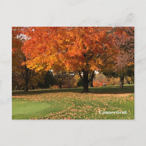 Golf Course In Fall Postcard