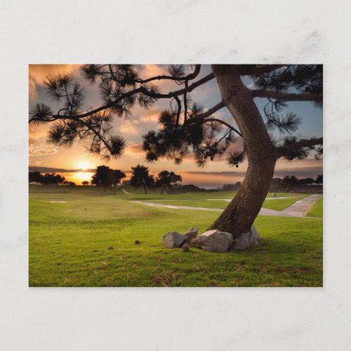 Golf Course Sunset Postcard